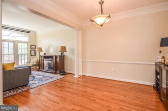 6242 Levi Ct in Springfield, VA - Building Photo - Building Photo