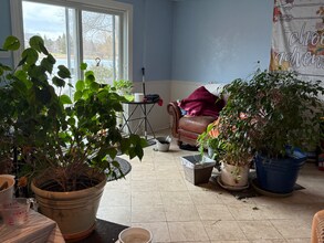 3133 Exeter Dr in Milford, MI - Foto de edificio - Building Photo