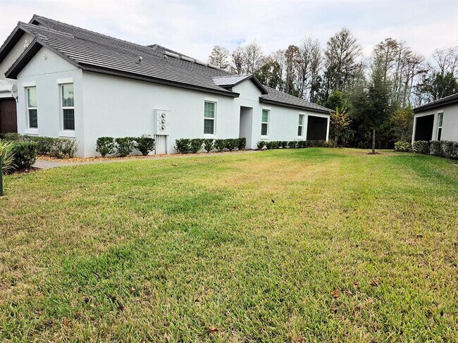 16890 Forge Surf St in Land O Lakes, FL - Building Photo - Building Photo