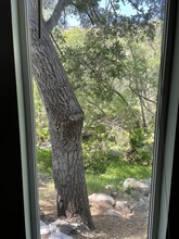 85 Sherwood Dr, Unit Studio in Westlake Village, CA - Building Photo - Building Photo