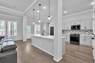 18207 Samie Nell Ct in Willis, TX - Building Photo