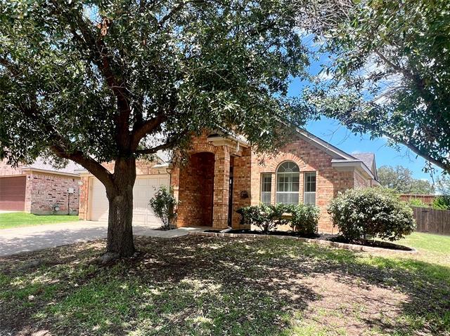 3313 Ocean Dr in Denton, TX - Building Photo - Building Photo