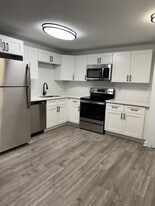 Dream Montrose in Houston, TX - Building Photo