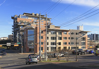 The Nokonah in Austin, TX - Foto de edificio - Building Photo