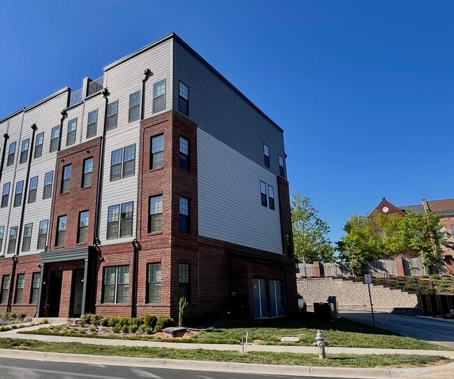 13223 Coalfield Station Ln in Midlothian, VA - Building Photo - Building Photo
