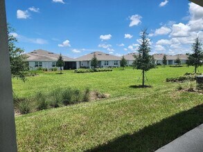 2365 Bending Bonsai Dr in Wesley Chapel, FL - Building Photo - Building Photo