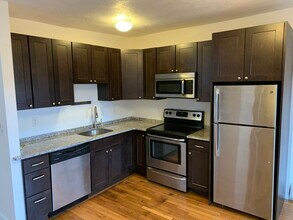 40 E Springfield St, Unit 1 in Boston, MA - Foto de edificio - Building Photo