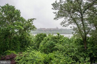 2217 N Oak Ct in Arlington, VA - Building Photo