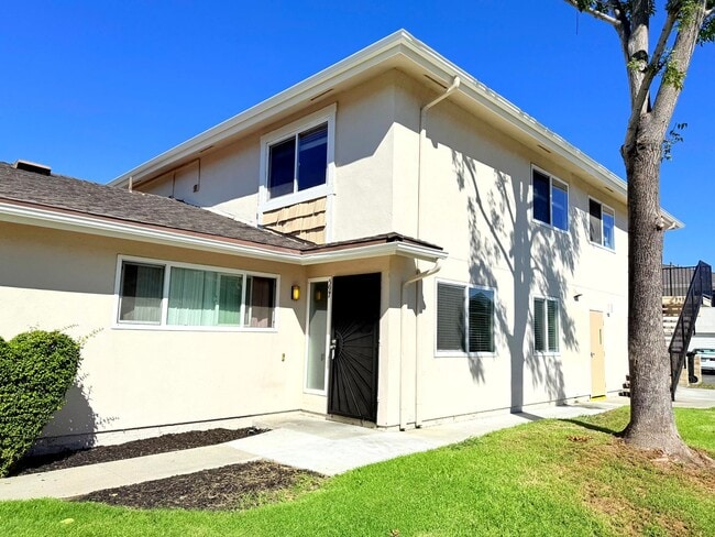 property at 597 Paseo La Perla