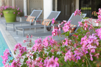 Park Terrace in Reseda, CA - Foto de edificio - Building Photo