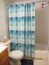 4313 Knox Rd, Unit 213 in College Park, MD - Building Photo - Building Photo