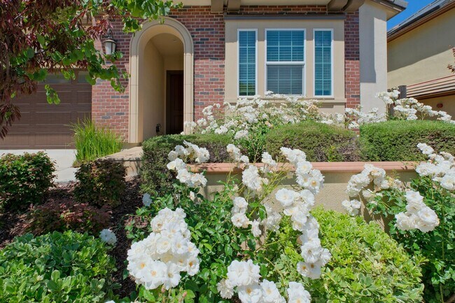 6536 Terrace Ridge Ct in Dublin, CA - Building Photo - Building Photo