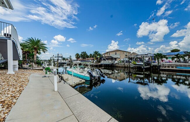 2186 Edythe Dr in Dunedin, FL - Building Photo - Building Photo