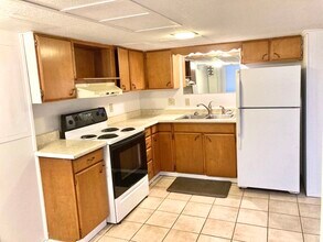 313 S 21st Ave E, Unit 1 in Duluth, MN - Building Photo - Building Photo