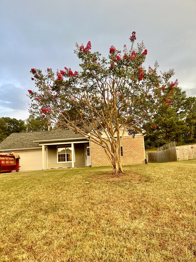 property at 234 Salem Rd