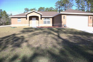 15433 Scaup Duck Ave in Brooksville, FL - Building Photo