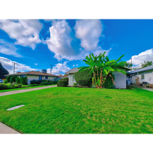 2013 Norris Dr W in Fresno, CA - Building Photo - Building Photo