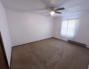 2-3 3 Michael St in Streator, IL - Building Photo - Building Photo