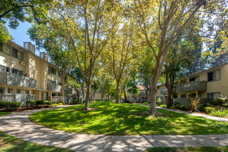 The Woods in San Jose, CA - Foto de edificio - Building Photo