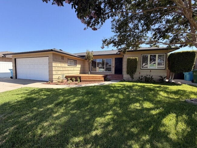 property at 6133 Dorothy Dr