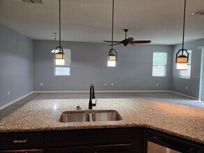 10705 Massimo Dr in Wimauma, FL - Building Photo - Building Photo