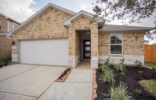 21607 Blue Sapphire Ct in Richmond, TX - Building Photo