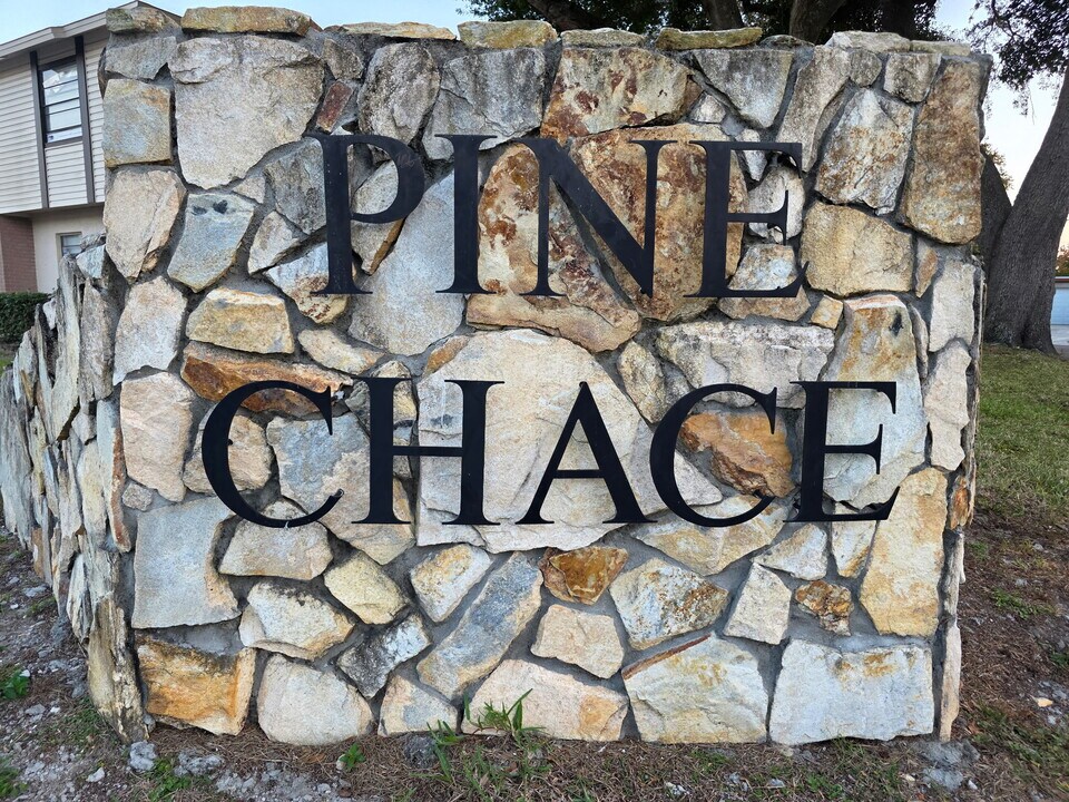 2031 Pine Chace Ct in Tampa, FL - Foto de edificio