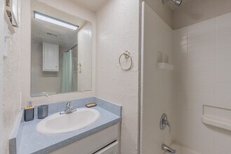 University View Denton in Denton, TX - Building Photo - Interior Photo