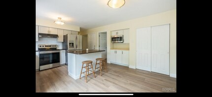 15506 Chequer Dr in Chesterfield, MO - Building Photo - Building Photo