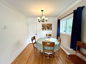 182 University Ave in St John's, NL - Building Photo - Building Photo