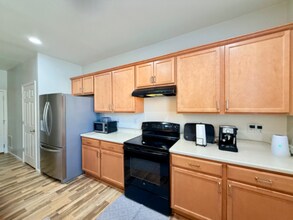 3634 Daylily St in Wellington, CO - Building Photo - Building Photo