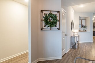 2569 McCrae in New Braunfels, TX - Building Photo - Building Photo