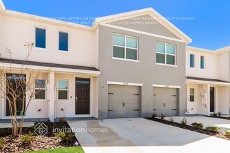 31222 Striped Maple Ln in Wesley Chapel, FL - Building Photo - Building Photo