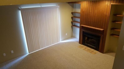 101 Graham Dr, Unit 1 in Savoy, IL - Building Photo - Building Photo