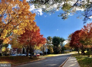 14703 Prairie Landing Way in North Potomac, MD - Building Photo - Building Photo