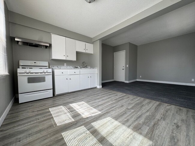 1727 Reaney Ave E in St. Paul, MN - Building Photo - Building Photo