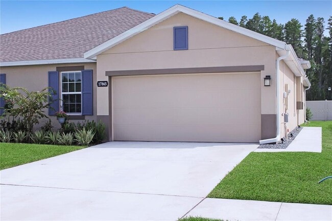 17865 Turning Leaf Cir in Land O Lakes, FL - Building Photo - Building Photo