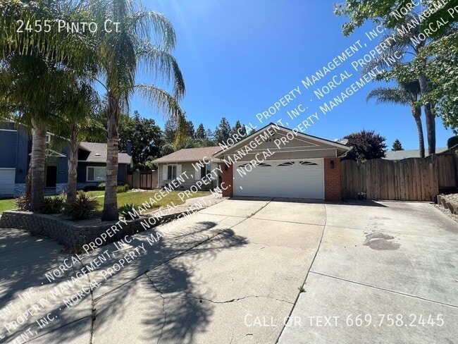 2455 Pinto Ct in Morgan Hill, CA - Building Photo - Building Photo
