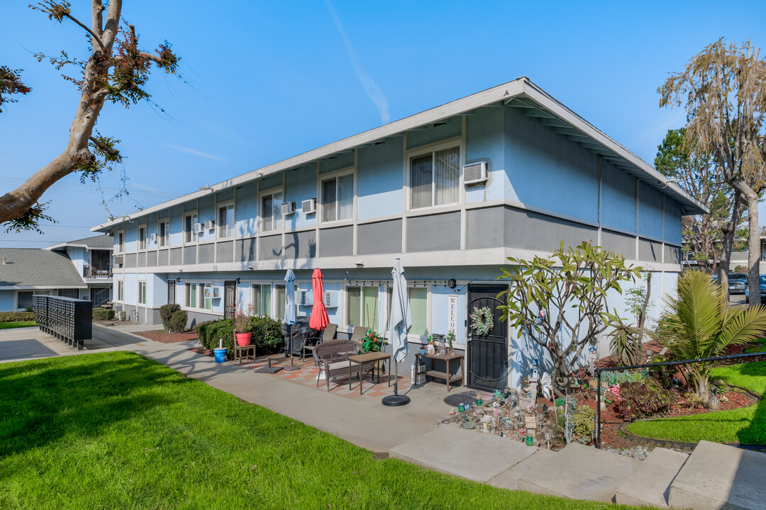 University Village Apartments in Riverside, CA - Foto de edificio