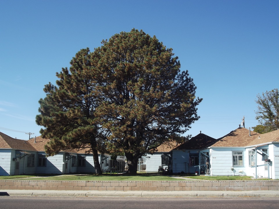 2802 Main St in Torrington, WY - Building Photo