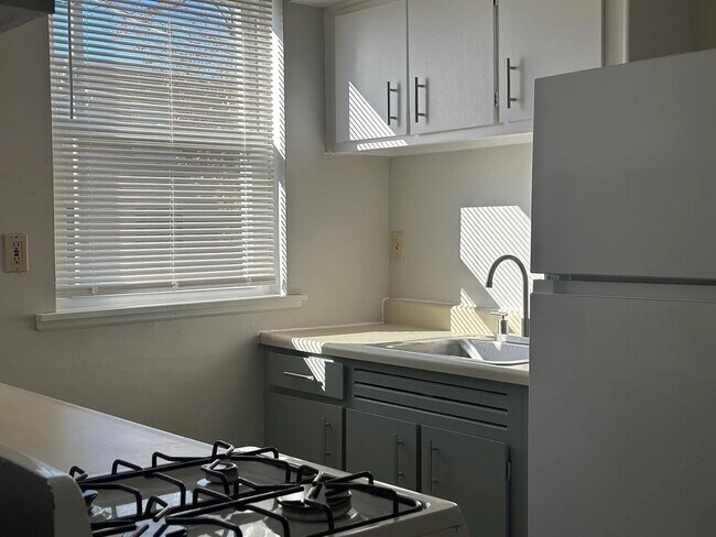 4525 Lardner St in Philadelphia, PA - Building Photo - Building Photo