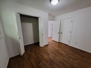 2919 Chestnut Ln in Johnson City, TN - Foto de edificio - Building Photo