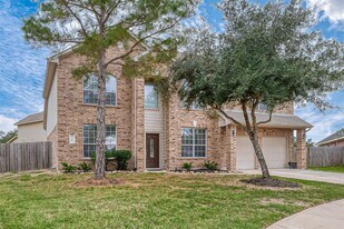 9906 Bronze Mill Ln in Rosharon, TX - Building Photo