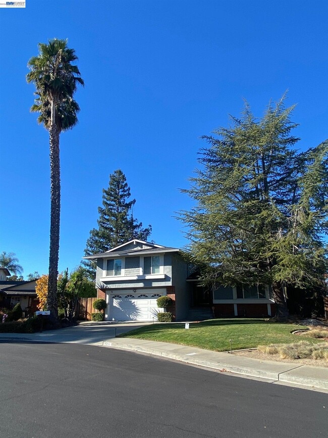 3253 Pomace Ct in Pleasanton, CA - Building Photo - Building Photo