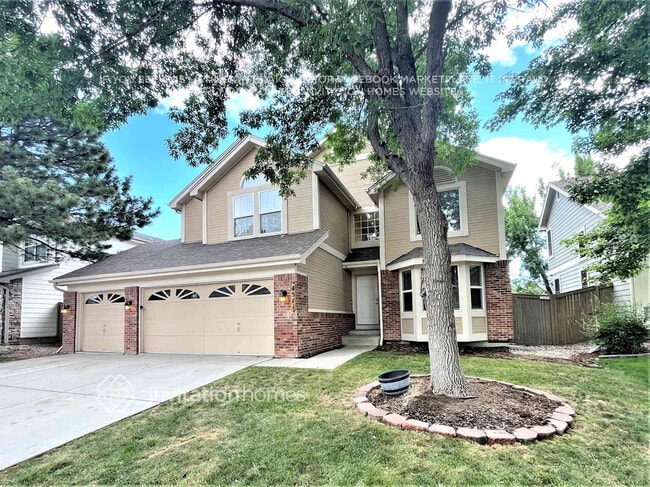4511 N Blazingstar Trail in Castle Rock, CO - Building Photo - Building Photo
