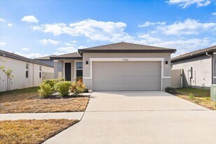 34680 Telluride Ln in Zephyrhills, FL - Building Photo