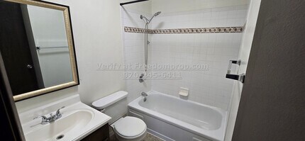 241 S Elm St in Fruita, CO - Foto de edificio - Building Photo