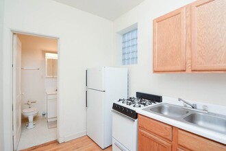 1053 W George St in Chicago, IL - Building Photo - Building Photo