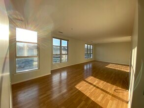 343 Cedar St NW, Unit 321 in Washington, DC - Building Photo - Building Photo