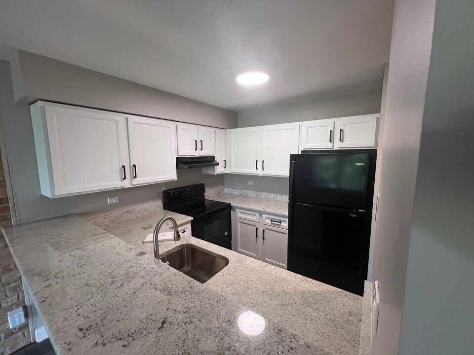 Abbey Apartments at Four Lakes in Lisle, IL - Foto de edificio